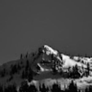 Meet your Posher, Cameron